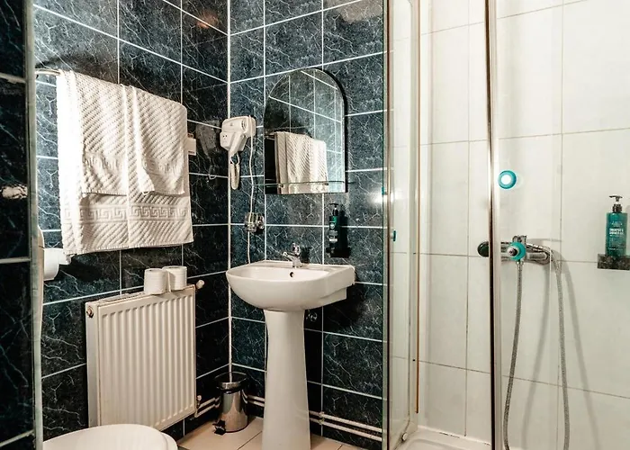 Strelitia 3* Timişoara